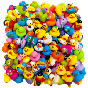 Assorted Rubber Duck