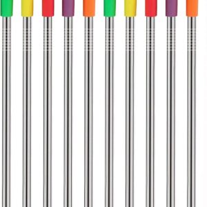 Stainless Steel Straw with Silicone Tip 10.5"